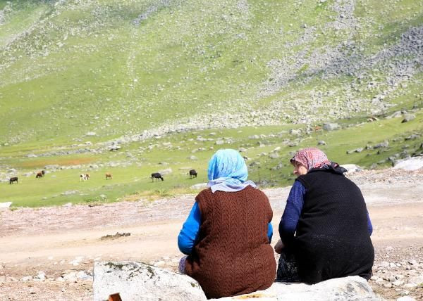 Samsun, Rize, Trabzon fırlamıştı Karadeniz’deki rekor vakaların esrarı çözüldü! - Resim: 1