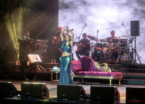 Yıldız Tilbe derin yırtmaçlı elbisesiyle dans şovu yaptı! Kıyafetin azizliğine uğradı - Resim: 3