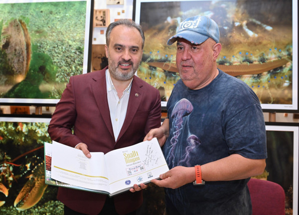 Kırmızı liste yer alıyor! Bursa'da denizde ortaya çıktı: Nesli tüm dünyada tehlike altında - Resim: 1