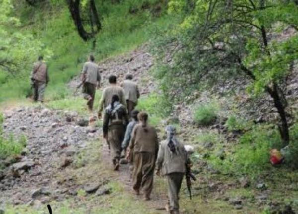 Teslim olan PKK'lı teröristten korkunç tecavüz itirafı! - Resim: 2