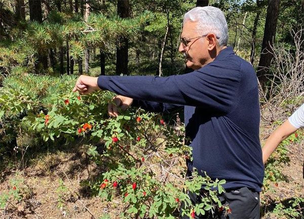 Binali Yıldırım memleketi Erzincan'da yaylaya çıktı - Resim: 1