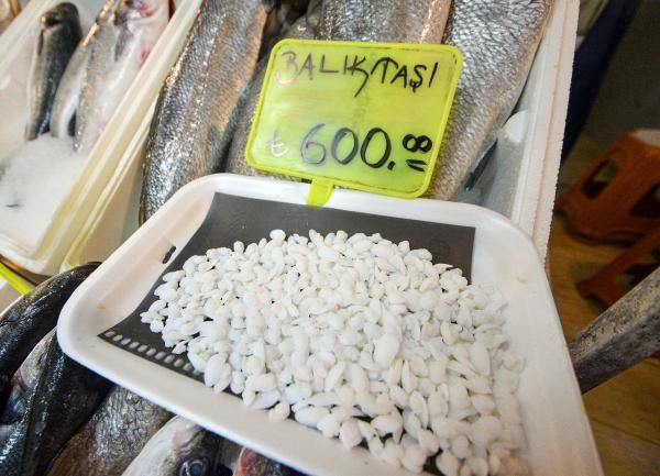 Şifalı olduğuna inanılıyor! Balık 70 kafasındaki taş 600 lira - Resim: 1