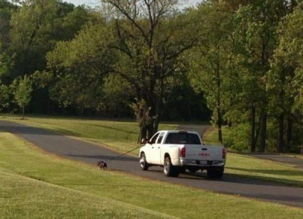 Tembellikte sınır tanımayanlar! - Resim: 1