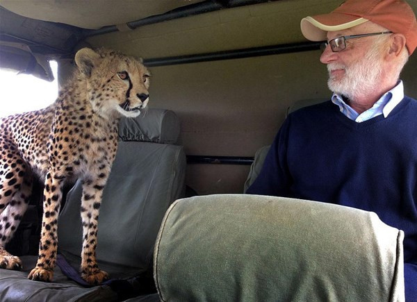 Bir anda arabanın üzerine atladı içeri girdi ve... - Resim: 4