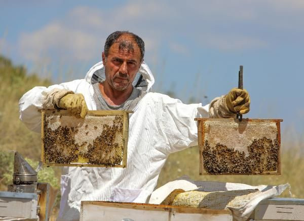 Lavanta balına talep yağıyor! Bu yıl zamlandı kilosu 300 TL - Resim: 2