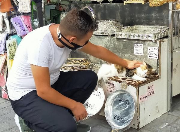 Kedisi uyandırılmasın diye öyle bir yazı astı ki görenleri korkuttu - Resim: 4