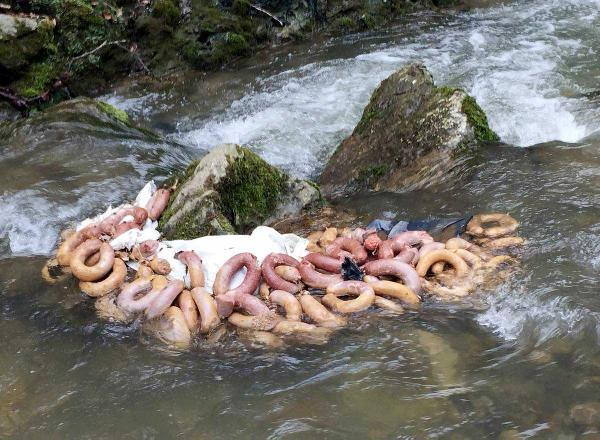 Şok görüntüler! At eti çıktı hem de restorana ait - Resim: 2