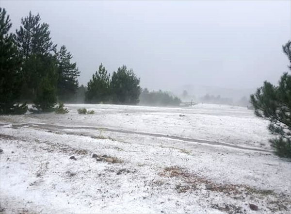 Kastamonu'da şiddetli dolu tarım arazileri büyük zarar gördü - Resim: 1