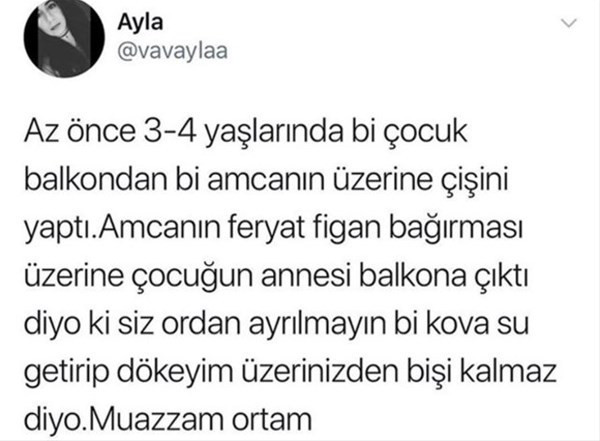 Pencereye çıktı aşağıdan geçen adamın üzerine tuvaletini yapınca... - Resim: 3
