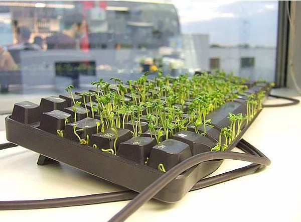 1 Nisan'ın hakkını veren efsane şakalar  - Resim: 4