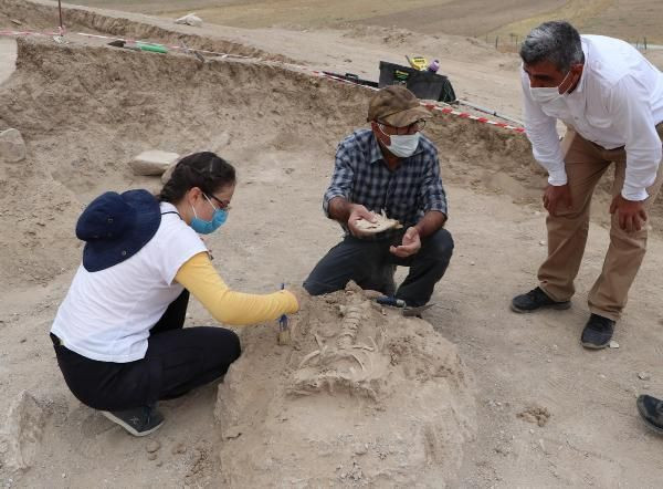 Van'da bulunmuştu! Biliminsanlarını şaşırtan bir gelişme yaşandı - Resim: 3
