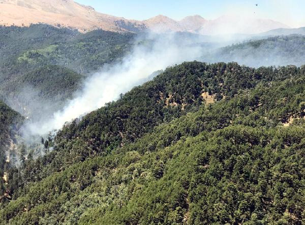 Isparta'da orman yangını! Alevlere anında müdahale edildi - Resim: 0