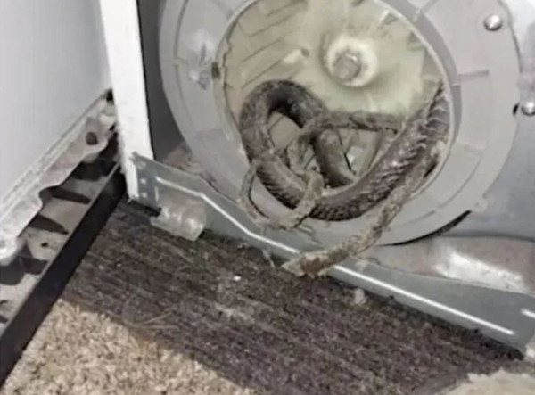 Makineden ses gelmeye başladı! Kapağı açınca aile şok oldu - Resim: 0