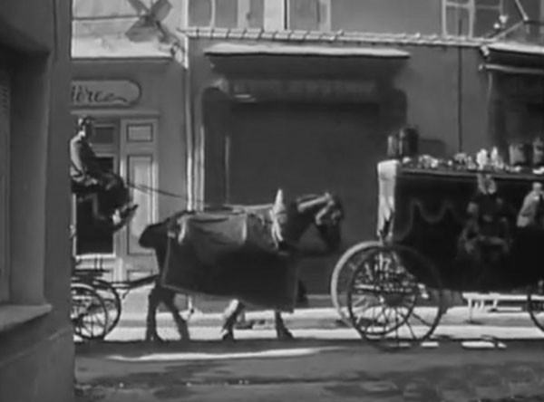 Bütün kasaba tek gecede aklını yitirdi - Resim: 3