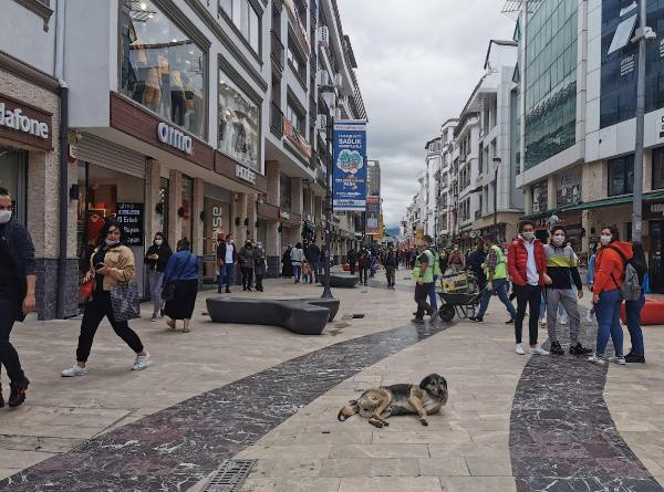 Ordu'da koronavirüs vakaları yeniden arttı vali isyan etti - Resim: 0