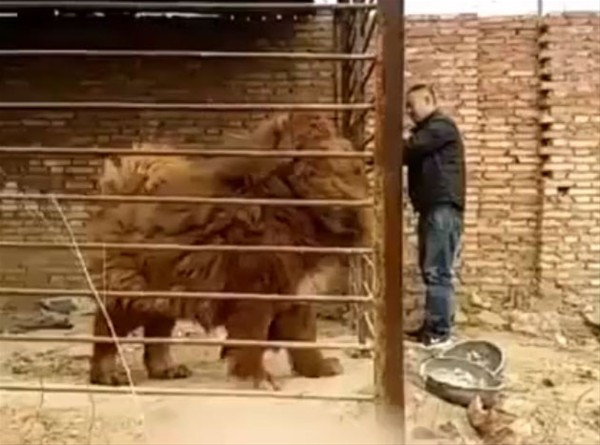 Bu iş şakaya gelmez sadece oyun oynamak istemişti ama... - Resim: 2