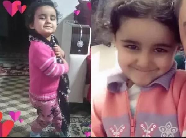 Kayseri'de acı olay! 4 yaşındaki çocuk yediği nardan fenalaştı yaşamını kaybetti - Resim: 2