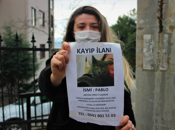 Kocaeli'de gece gündüz sokak sokak arıyor! Bulan 1500 TL kazanacak - Resim: 2