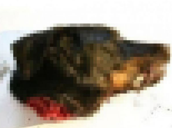 Köpek adam dümeni ortaya çıktı! - Resim: 2