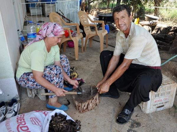 Antalya'da üretim patladı 5 bin yıldır tüketiliyor! Yahya Peygamberin ekmeği deniyor - Resim: 2