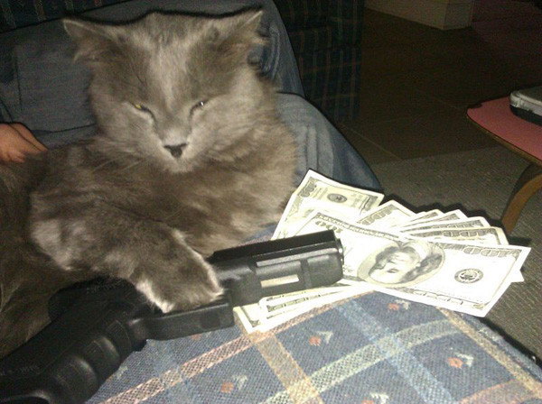 Bir gariplik varmış gibi görünse de... - Resim: 1