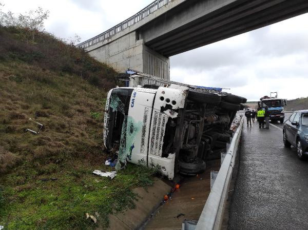 İstanbul'da yüzlercesi yol kenarına saçıldı! Ekipler harekete geçti - Resim: 0