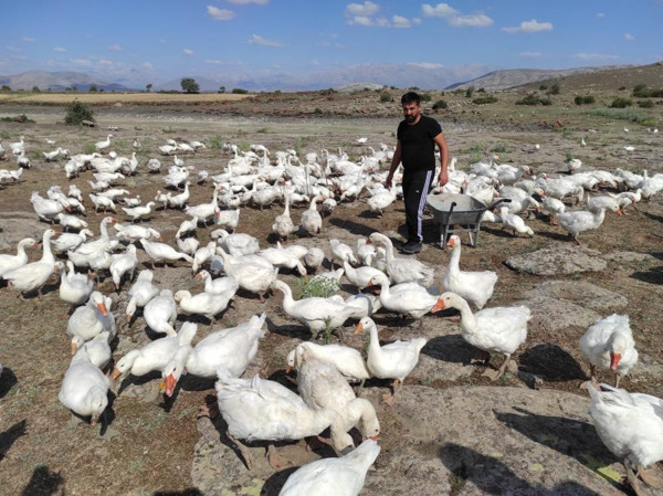 Kayseri'de salgını fırsata çevirdi! 3 ay içinde üretime geçecek - Resim: 0