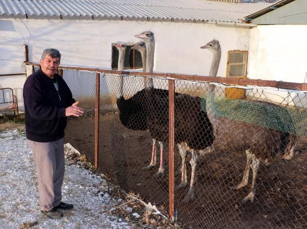 Sadece 3-4 kişi bu işi yapıyor! Kırşehir'de 26 yıl önce başladı paraya para demiyor - Resim: 3