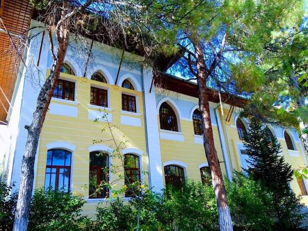 Denizli'de tarihi okul cayır cayır yandı - Resim: 2