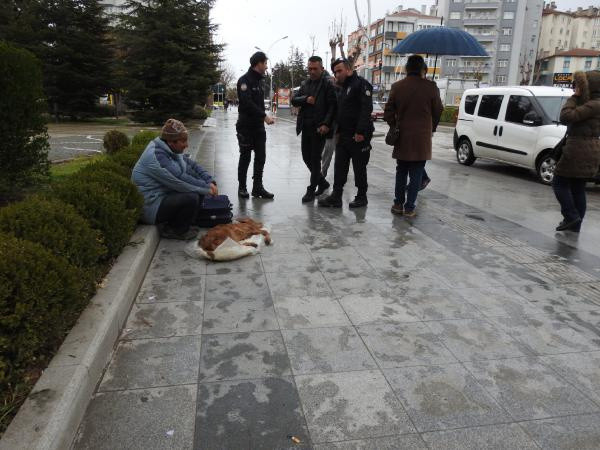 Buzağısına otopsi istedi - Resim: 0