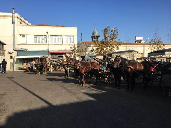 Ruam hastalığı nedir insanlara nasıl bulaşıyor? Belirtileri gribe benziyor - Resim: 2