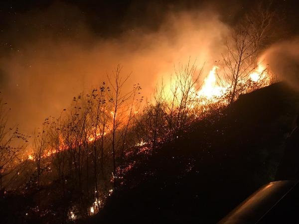 Bakan Pakdemirli'den Karadeniz'deki orman yangınları ile ilgili açıklama - Resim: 1