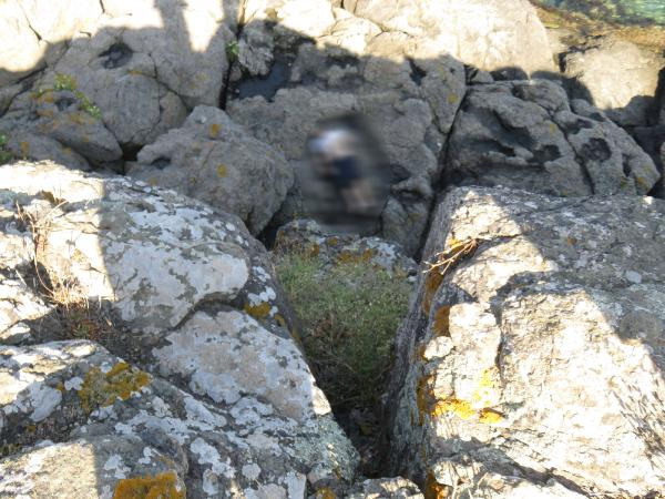 Beykoz'da kamp alanında şok eden ölüm - Resim: 0
