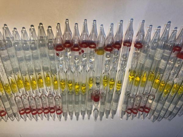 Değeri 6 milyondan fazla! Edirne'de 230 tüp kobra yılanı zehri ele geçti - Resim: 0