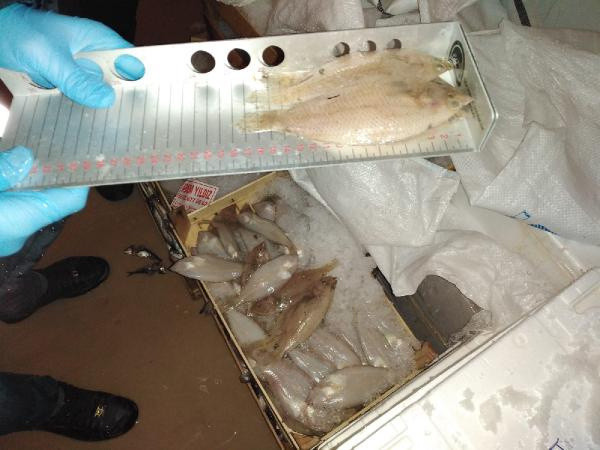 İstanbul'da mevzuata aykırı 7 ton su ürününe el konuldu - Resim: 0