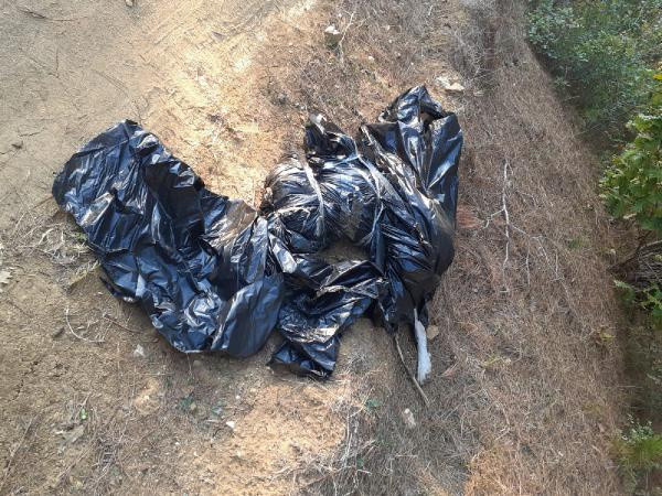Edirne'de vahşet! Ormana atılmış çöp poşetinde ölmüş köpek bulundu - Resim: 0