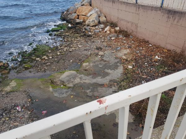 Kocaeli'de yürüyüşe çıkan vatandaşlar şok oldu! Kayalıklarda hareketsiz yatıyordu - Resim: 0