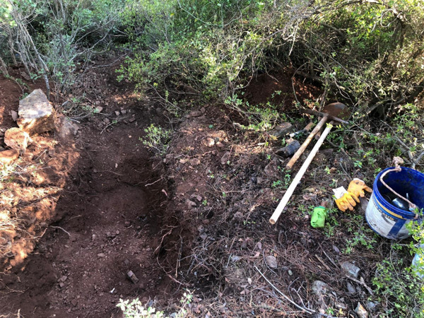 Antalya'da ormanda suçüstü yakalandılar! Kurdukları sistem görenleri şaşırttı. - Resim: 0