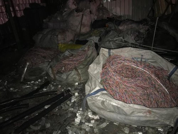 Değeri 1 milyon TL! İstanbul'da odun gibi doğrayıp kamyona yüklediler - Resim: 1