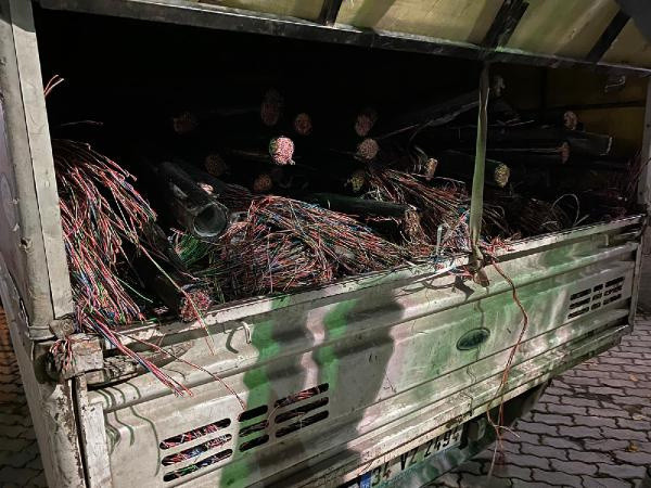 Değeri 1 milyon TL! İstanbul'da odun gibi doğrayıp kamyona yüklediler - Resim: 0