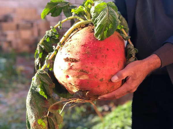 Mardin'de yerden çıkardı görünce şaşkına döndü! - Resim: 0