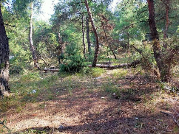 Bursa'da oğluna levyeyle vurdu bayılttı bıçakladı: Can çekiştiğini görünce... - Resim: 2