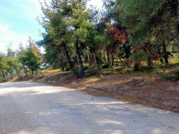 Bursa'da oğluna levyeyle vurdu bayılttı bıçakladı: Can çekiştiğini görünce... - Resim: 0