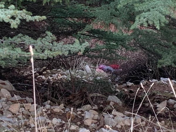 Isparta'da 13 gündür kayıptı acı haber geldi! Bakın nerede bulundu - Resim: 0