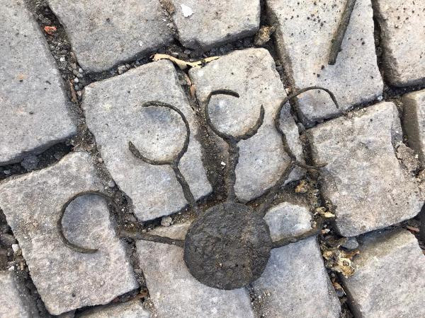 Trabzon'da kepçenin darbesiyle ortaya çıktı! Yetkililer akın etti incelemeye alındı - Resim: 1