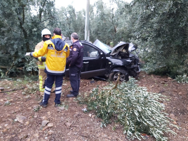 Bursa'da yağış ölüm getirdi! Ağaçları devirdi hurdaya döndü - Resim: 0