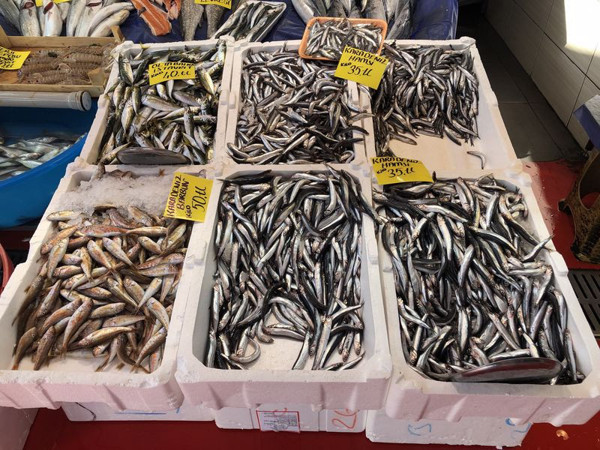 Yasak kalktı! Hamsi fiyatları yüzde 25 düştü - Resim: 0