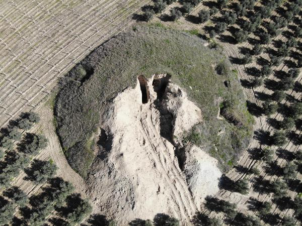 2 bin 700 yıllıktı! Manisa'da belediye başkanı isyan etti: İlk defa şahit oldum - Resim: 0