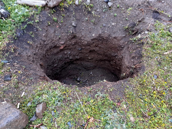 'Burada altın var' diyorlar! Osmaniye'de 200 yıllık mezarı görünce şok oldu - Resim: 0