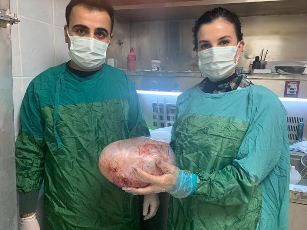 Doktorlar şaştı kaldı! Batman'da karın ağrısıyla hastaneye gitti karnından 5 kilo çıktı - Resim: 0